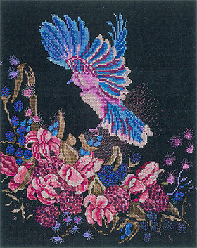 XNOH - E-800 - Soft Landing