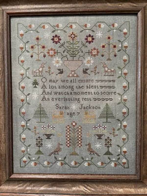 SCAR - Sarah Jackson