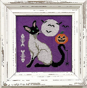 FXRB - Cat Magic