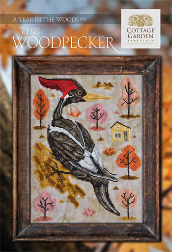 CTGS - 1090 - A Year In The Woods - #09 - The Woodpecker