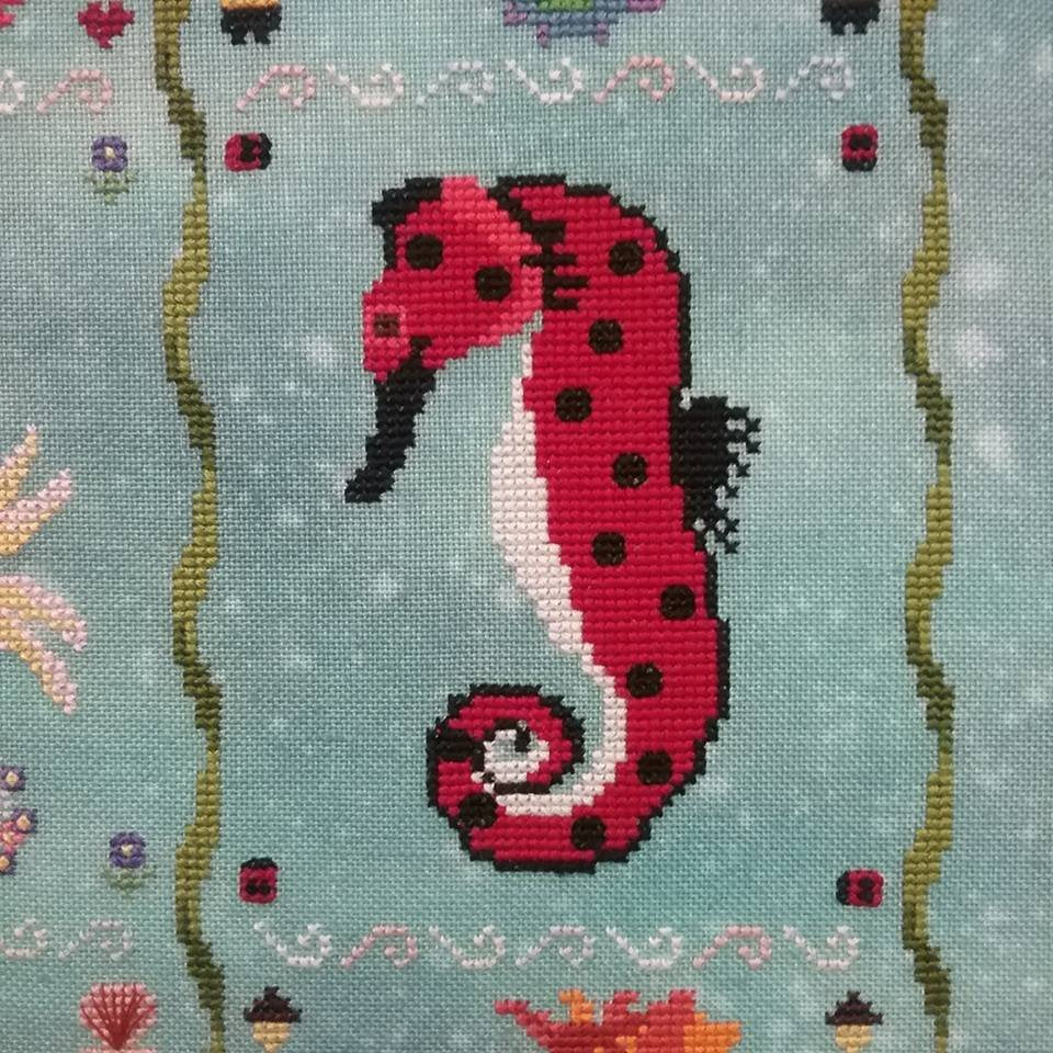 FO - Seahorses of the Month - June "The Lady"