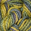 CRCL - Wildflowers - 297 - Goldenrod