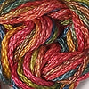 CRCL - Wildflowers - 307 - Calypso