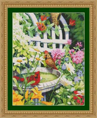 KSKR - 97133 - Cardinals in Birdbath