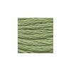 DMC - Floss - 3364 - Pine Green