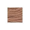 DMC - Floss - 3772 - Very Dark Desert Sand