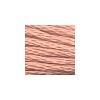 DMC - Floss - 3778 - Light Terra Cotta