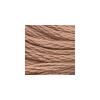 DMC - Floss - 0407 - Dark Desert Sand