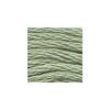 DMC - Floss - 0523 - Light Fern Green