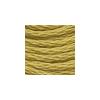 DMC - Floss - 0833 - Light Golden Olive