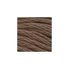 DMC - Floss - 0839 - Dark Beige Brown