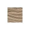 DMC - Floss - 0841 - Light Beige Brown