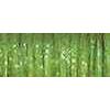 RBGL - #12 Metallic Braid - 5535 - Oregano