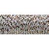 RBGL - #32 Metallic Braid - 3202 - Cat's Eye