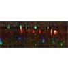 RBGL - Blending Filament - Holographic - 0005L - Blinding Black