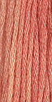 GNTL - Simply Shaker - 7009 - Melon Patch
