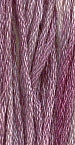 GNTL - Simply Shaker - 7031 - Sweet Pea