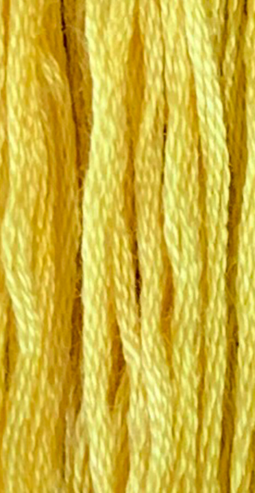 GNTL - Simply Shaker - 7105 - Goldenrod