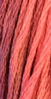 GNTL - Sampler Threads - 0591 - Coral Reef