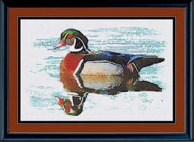 RRD - Wood Duck