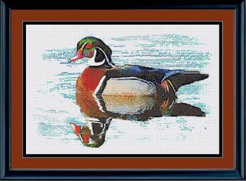 RRD - Wood Duck