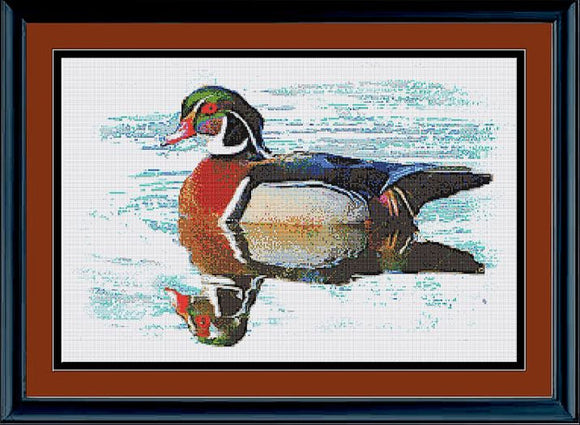 RRD - Wood Duck