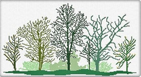 AAN - Foresta di Primavera