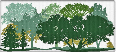 AAN - Foresta d'Estate