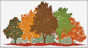 AAN - Foresta d'autunno
