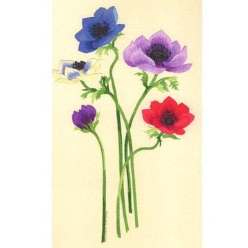 XXX-RWED - DAN1 - Anemones