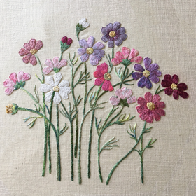 RWED - DCO1 - Cosmos