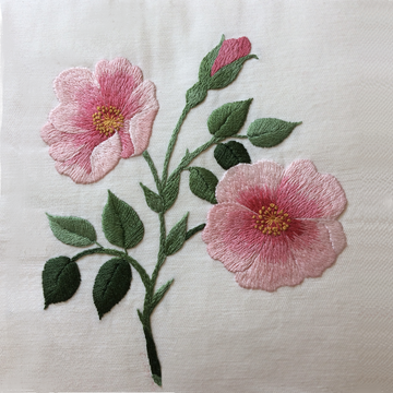 XXX-RWED - DCR1 - Country Rose