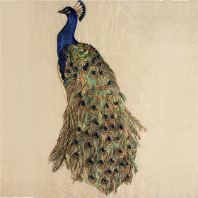 RWED - DPE1-SK - Peacock