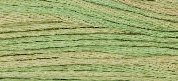 WKDW - Floss - 1189 - Butter Bean