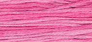 WKDW - Floss - 2275A - Bubblegum