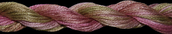 THWX - Floss - 051-00081 - Shortcake