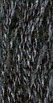 GNTL - Simply Wool - 7037-W - Freedom