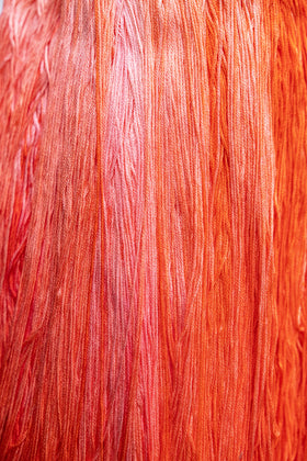 GNTL - Sampler Threads - 0592 - Habanero