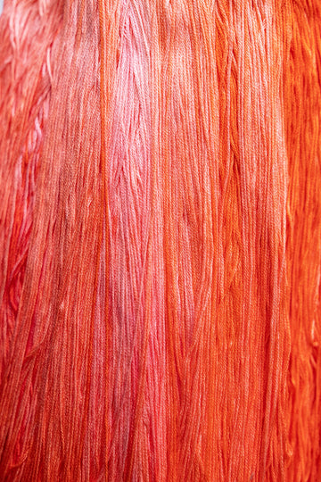 GNTL - Sampler Threads - 0592 - Habanero