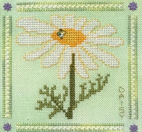 FIOR - Daisy