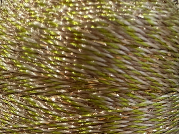 GNST - Twinkle - 0540 - Shortbread