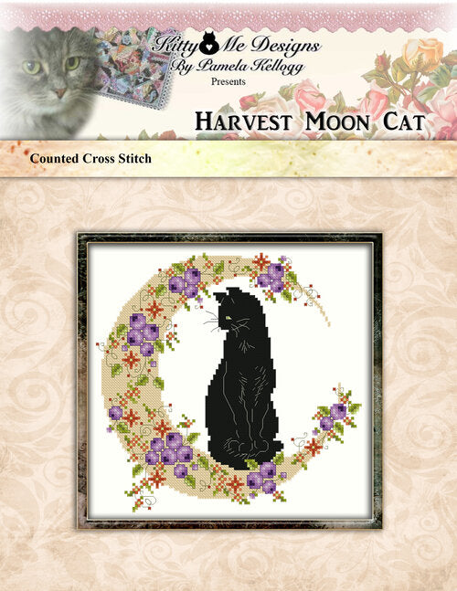 KTME - Harvest Moon Cat