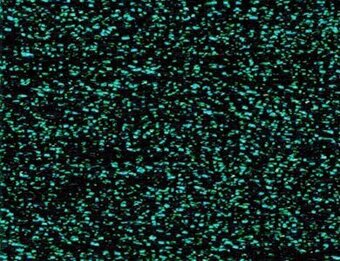 RBGL - Treasure Braid - Petite - PB-0031 - Evergreen