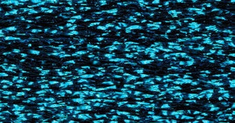 RBGL - Treasure Braid - Petite - PB-0087 - Mediterranean Blue