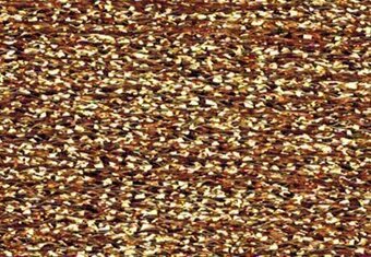 RBGL - Treasure Braid - Petite - High Gloss - PH-0001 - Gold