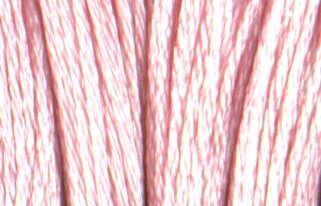 DMC - Rayon/Satin Floss - 30818