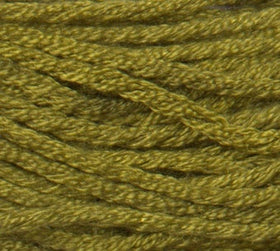 THGT - Silk'n'Colors - 1000 - Wart Frog