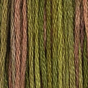 XXX-HOBN - Floss - 004A - Fern