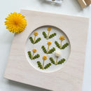 Square Frames-4