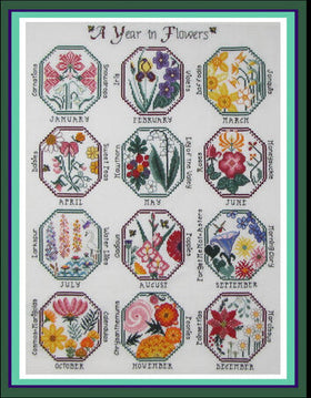 TMTN - A Year In Flowers